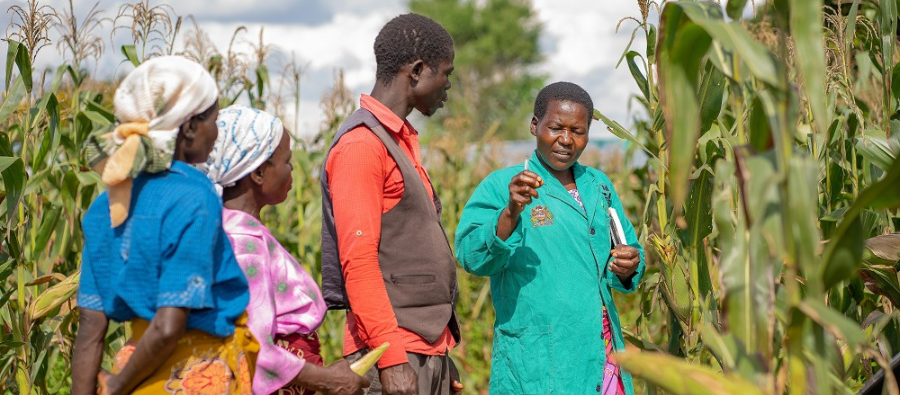 Farm Uganda team in the field